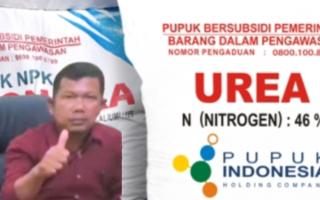 Kelangkaan Pupuk Subsidi di Aek Bilah Ancam Produksi Pertanian, Pemda Janji Kawal Distribusi